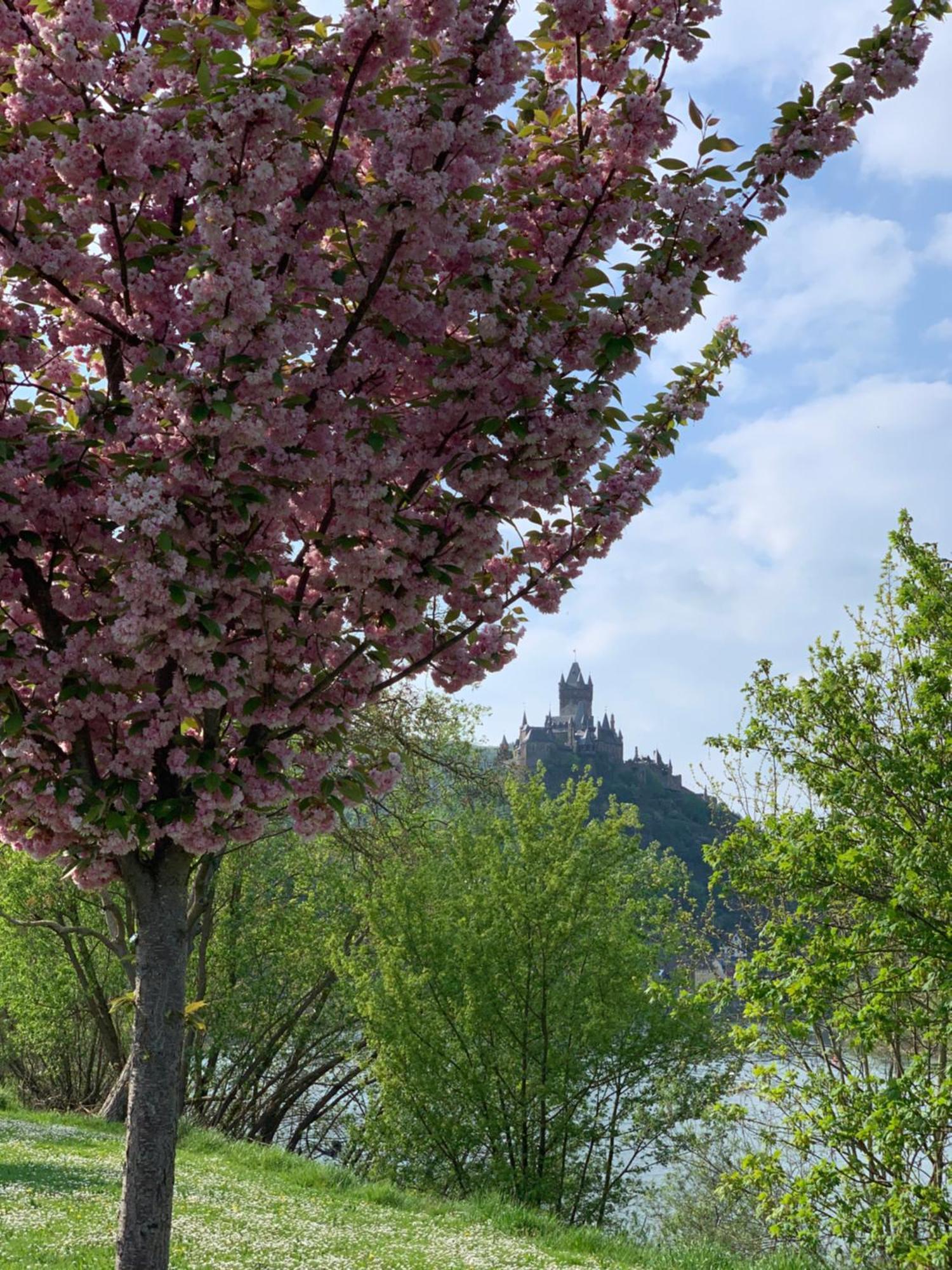 Stumbergers Hotel Cochem Luaran gambar